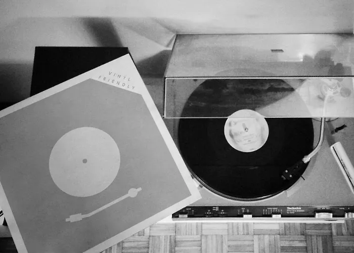 Eufonia Vinyl Friendly *