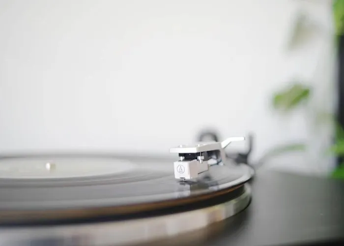 Eufonia Vinyl Friendly Daire