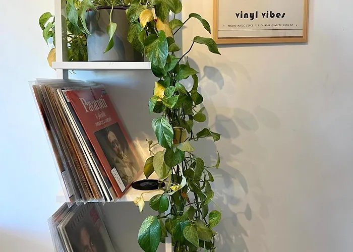 Daire Eufonia Vinyl Friendly Roma